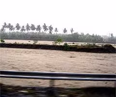 Philippines: Bão Chanchu làm 24 người chết