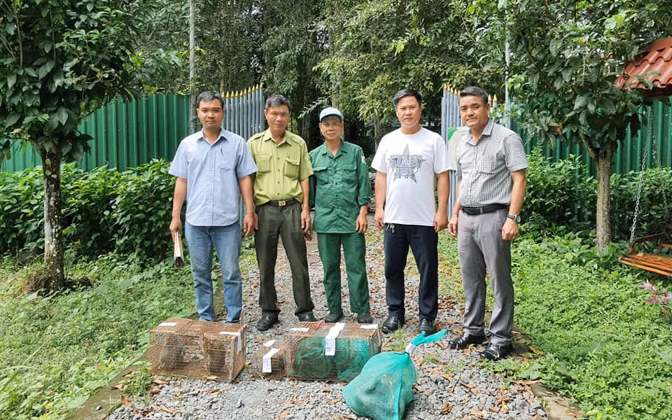 Cơ quan chức năng thành phố Bảo Lộc bàn giao động vật hoang dã cho Vườn Quốc gia Cát Tiên.
