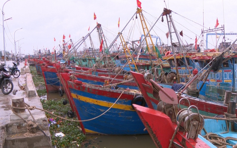 Tàu thuyền của ngư dân huyện Tiền Hải, tỉnh Thái Bình vào nơi tránh, trú bão an toàn. Di dời dân và thuyền bè khỏi vùng nguy hiểm của bão trước 19 giờ hôm nay -0