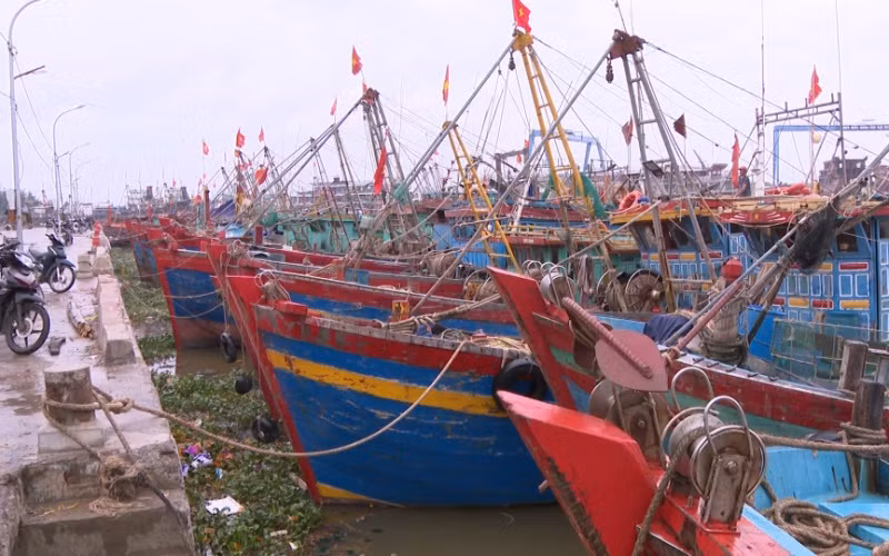 Di dời dân và thuyền bè khỏi vùng nguy hiểm của bão trước 19 giờ hôm nay -0