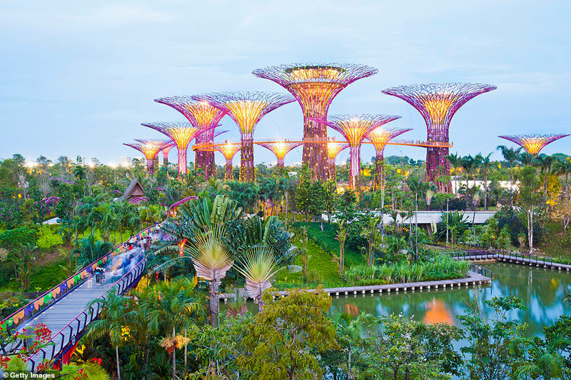 Gardens by the Bay (Ảnh: DAILY MAIL) Điều gì khiến cầu Vàng Đà Nẵng tiếp tục được báo Anh ca ngợi? -1