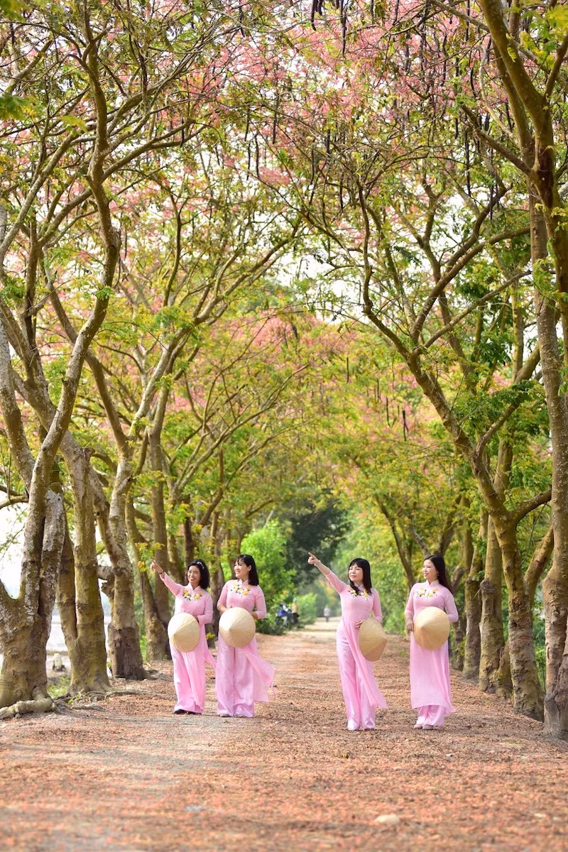 Mùa ô môi trên quê hương miền tây -0