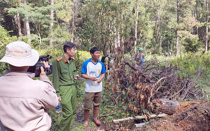 Đưa đối tượng phá rừng vào hiện trường xác định vị trí đã cưa hạ thông
