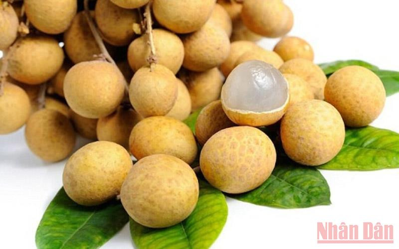 Nhãn năm nay được mùa nhưng giá rất rẻ. Nhãn chín muộn giá rẻ như cho -0