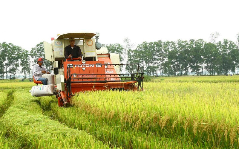 Phát triển nông nghiệp vẫn là bệ đỡ của kinh tế Quảng Trị. 