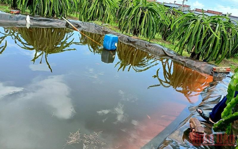 Ao chứa nước tưới thanh long, nơi hai em nhỏ bị đuối nước. Bình Thuận: Một học sinh bị nước cuốn mất tích -0
