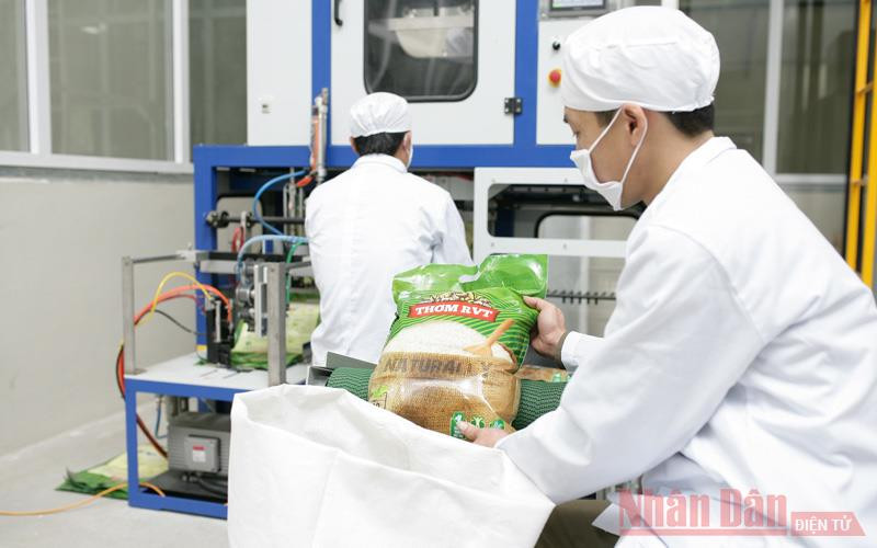 Xuất khẩu gạo tăng cao về giá trị.