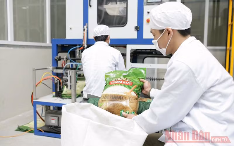 Xuất khẩu gạo tăng cao về giá trị.