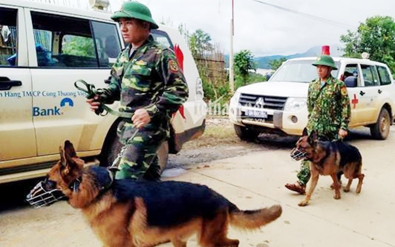 Sáng nay, chó nghiệp vụ được tiếp tục đưa vào hiện trường phục vụ công tác tìm kiếm các thi thể được nhanh hơn. Quảng Trị: Đưa ra ngoài thi thể thứ 14 -0
