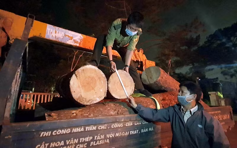 Tang vật vụ việc đang tạm giữ tại Hạt Kiểm lâm thành phố Đà Lạt.