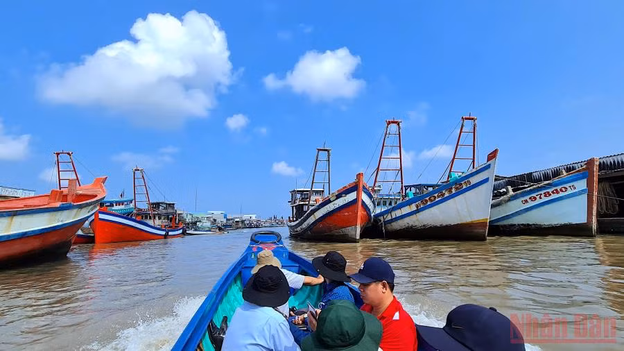 Tàu cá ở Cà Mau (Ảnh minh họa: Hữu Tùng).