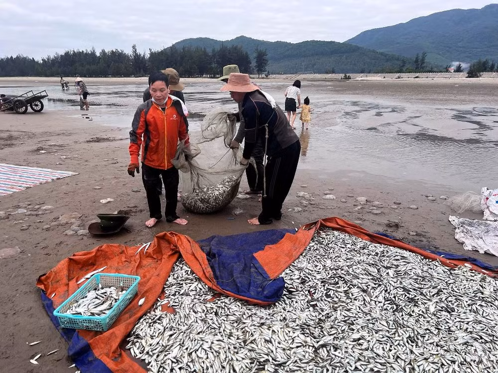 Ngư dân đi lùi “kéo” mặt trời lên -0