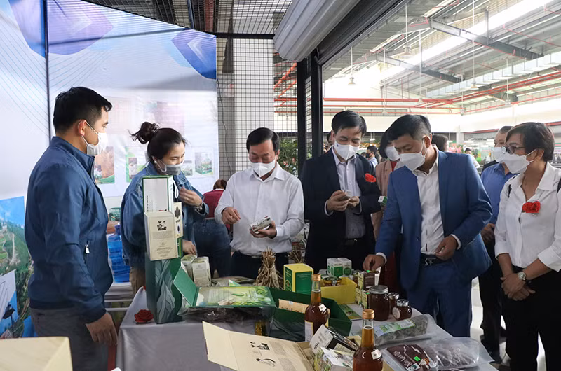 Lãnh đạo tỉnh Phú Thọ và du khách tham quan các gian trưng bày sản phẩm OCOP.