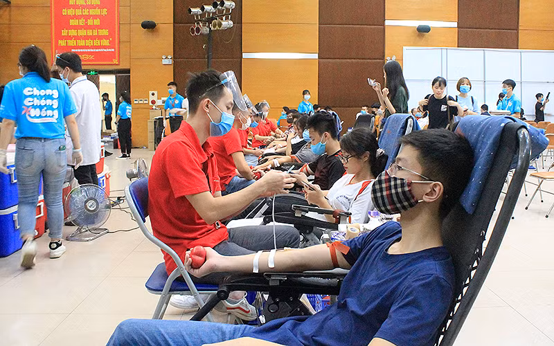 Các tình nguyện viên hiến máu tại chương trình “Chong chóng hồng”. 