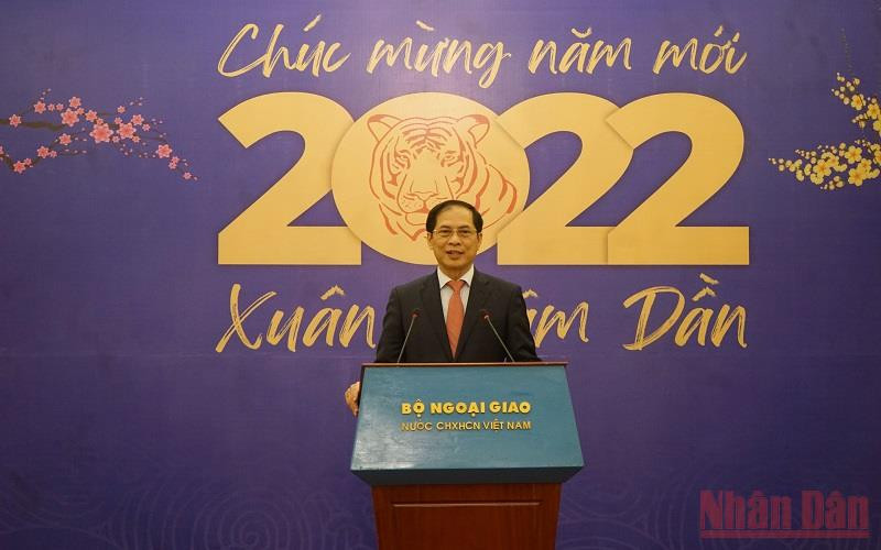 Bộ trưởng Ngoại giao Bùi Thanh Sơn phát biểu ý kiến tại cuộc gặp. (Ảnh: XUÂN TRƯỜNG)