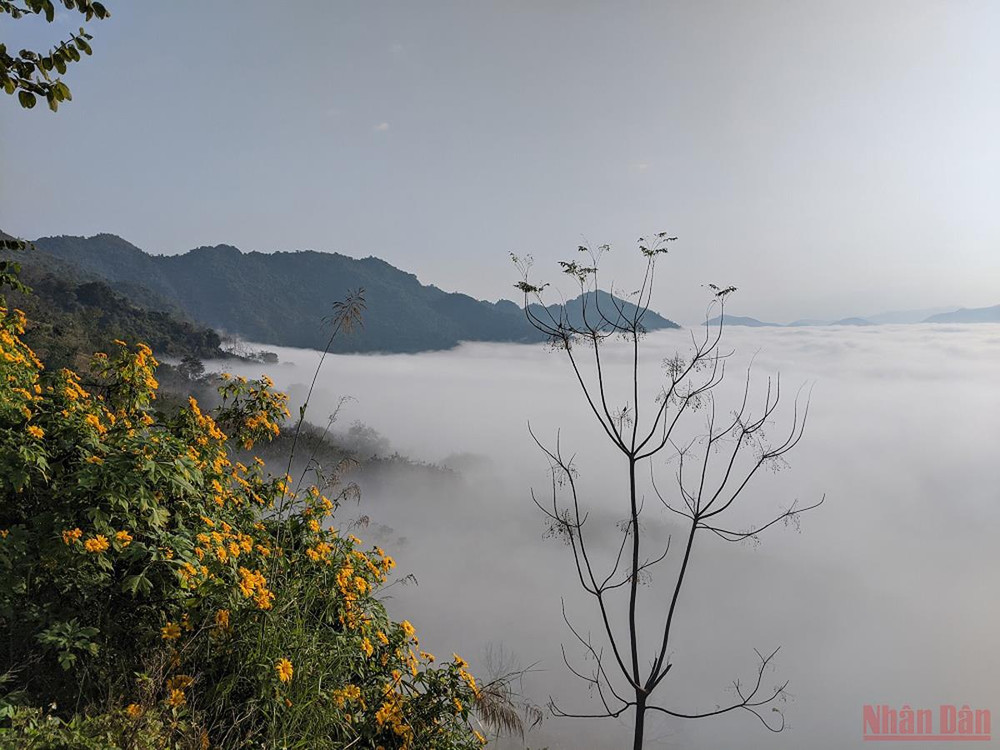 Thời gian săn mây đẹp nhất ở đây là từ tháng 9 đến tháng 2 năm sau. Đây là một trong những điểm săn mây lý tưởng ở Điện Biên, thu hút du khách và các nhiếp ảnh gia ngắm cảnh, chụp ảnh. Săn mây trên đèo Tằng Quái -0