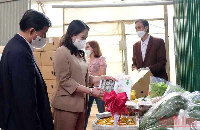 Phó Chủ tịch nước Võ Thị Ánh Xuân và đoàn công tác đến thăm mô hình sản xuất nông nghiệp đạt hiệu quả cao tại Lạc Dương. Phó Chủ tịch nước Võ Thị Ánh Xuân trao quà tặng các gia đình chính sách tại Lâm Đồng -0