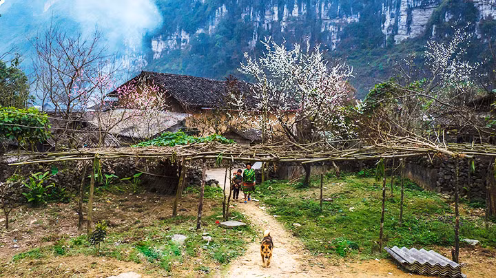 Xuân muộn Hà Giang -0