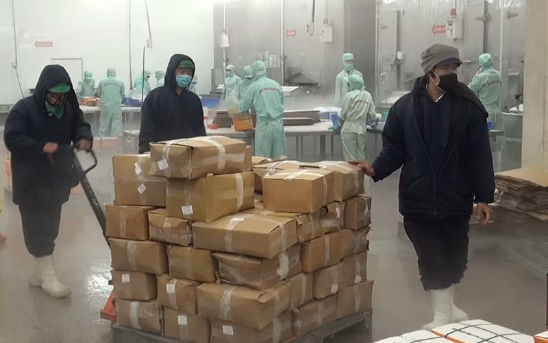 Mở cửa thị trường, tái khởi động nền kinh tế -0