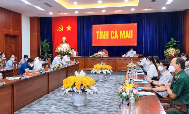 Ban Chỉ đạo phòng, chống dịch tỉnh Cà Mau họp bàn phương án nới lỏng giãn cách theo Chỉ thị 19 của Chính phủ.