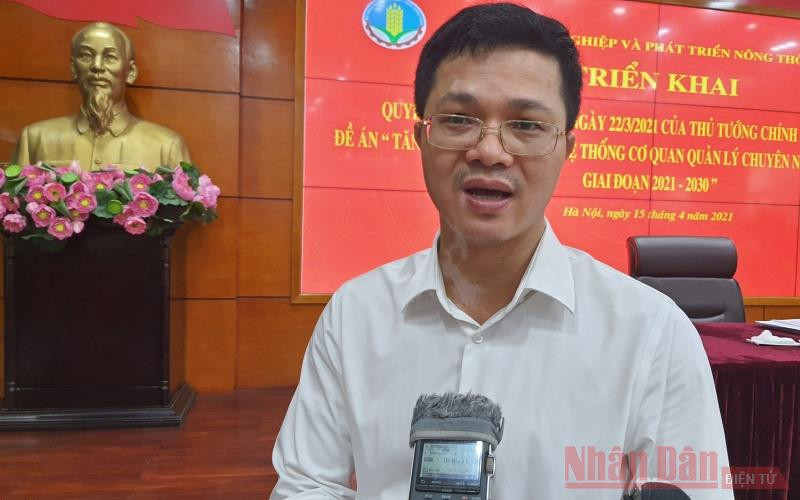 Nguyễn Văn Long, Phó Cục trưởng Thú y (Bộ NN-PTNT) khẳng định bệnh viêm da nổi cục sẽ không lây bệnh cho người. Bệnh viêm da nổi cục trên trâu bò nguy hiểm nhưng không lây cho người -0