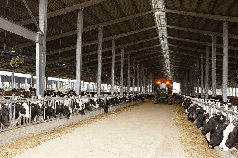 Trang trại TH true MILK tại Nghệ An. (Ảnh: TH) TH được vinh danh ở hạng mục cao nhất của Giải thưởng chất lượng quốc tế -0