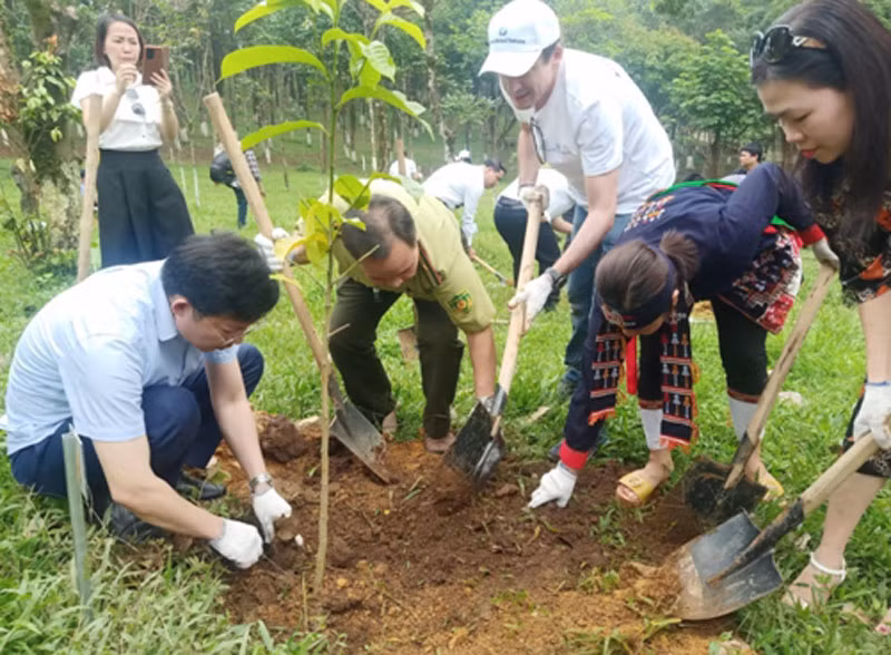 Trồng cây hưởng ứng Ngày quốc tế chống sa mạc hóa.