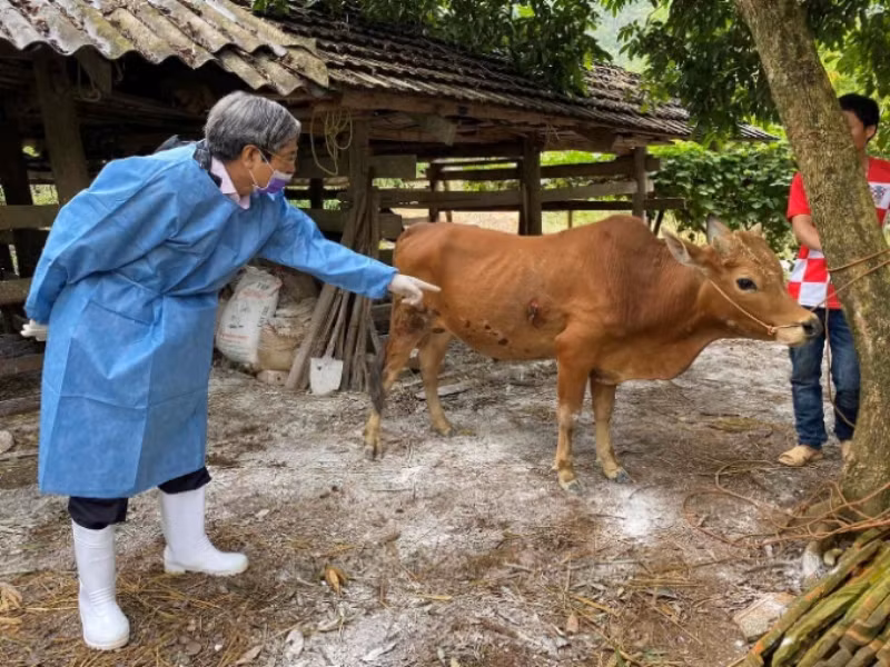 Nhiều nguy cơ tiểm ẩn dịch bệnh trên động vật trong những tháng cuối năm (Ảnh: Cục Thú y)
