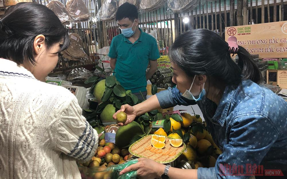 Khách hàng thử cam Bắc Giang tại gian hàng của Trung tâm. Hội chợ Đặc sản vùng miền – Cơ hội mở rộng thị trường -0