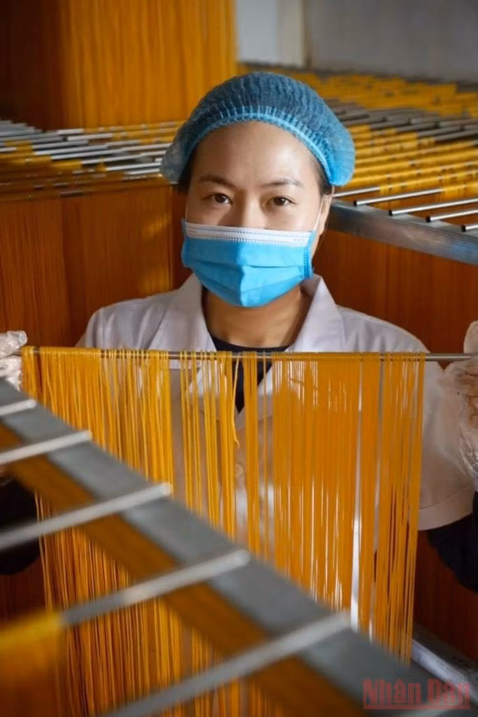 Bài ca của Đất -0