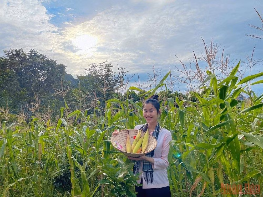 Bài ca của Đất -0