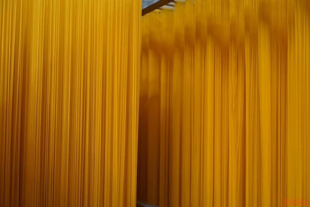 Bài ca của Đất -0