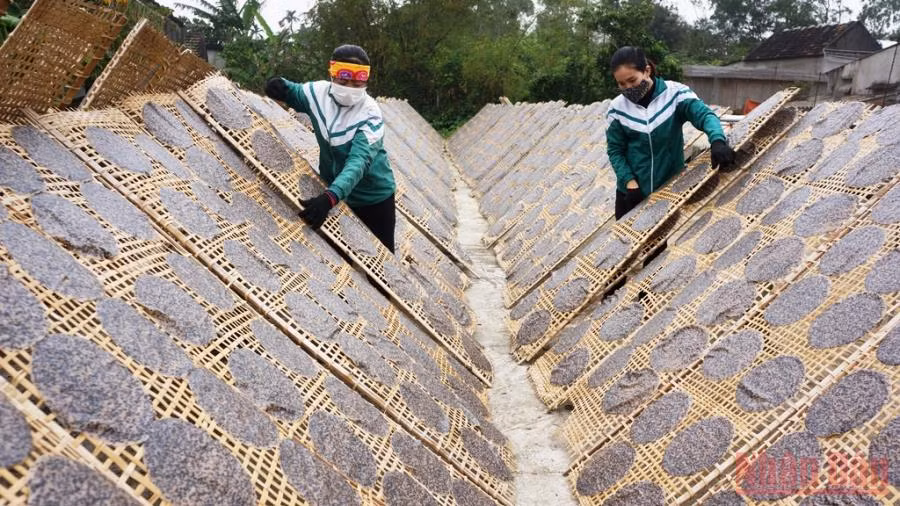Bánh đa vừng Nguyên Lâm (Kỳ Anh) kế thừa phương thức truyền thống nên giữ được hương vị riêng.