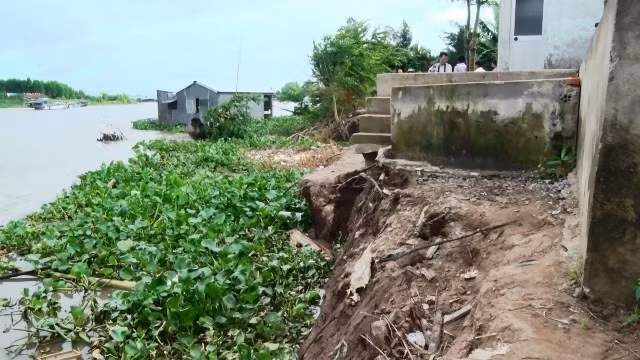 Còn nhiều nhà dân trong khu vực sạt lở vàm Cái Hố.