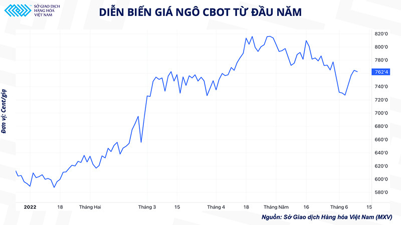 Nguồn cung ngô đang dần nới lỏng, gánh nặng về chi phí trong ngành chăn nuôi sẽ giảm bớt? -0