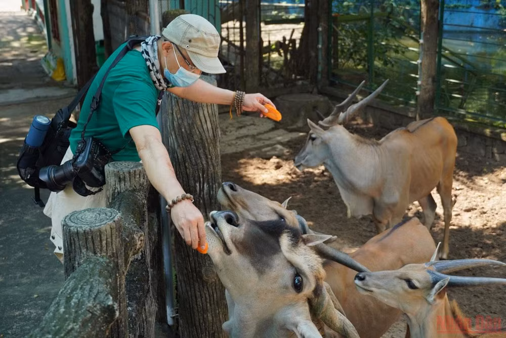 Thảo Cầm Viên Sài Gòn trước ngày mở cửa trở lại -0
