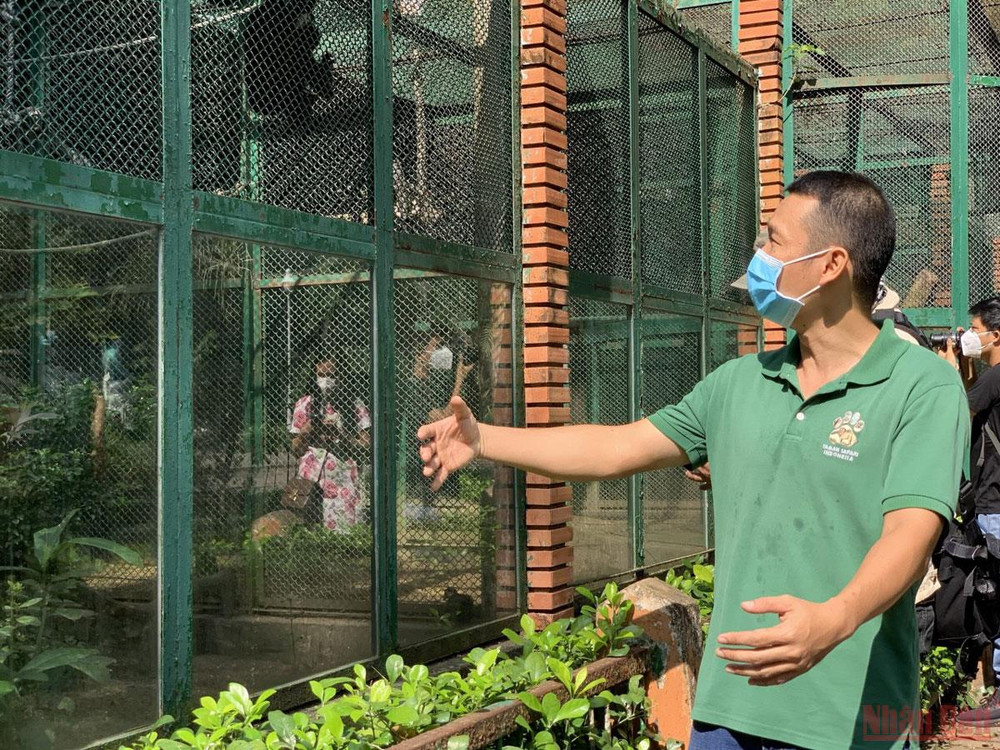 Anh Mai Khắc Trung Trực, Giám đốc bộ phận động vật, Công ty TNHH MTV Thảo Cầm Viên Sài Gòn cho biết: Nhờ sự hỗ trợ của thành phố, mọi công việc tại đây đều diễn ra bình thường, các loài động vật, thực vật vẫn được chăm sóc tốt. Thảo Cầm Viên Sài Gòn trước ngày mở cửa trở lại -0