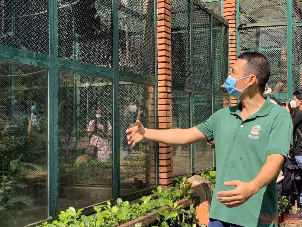 Thảo Cầm Viên Sài Gòn trước ngày mở cửa trở lại -0