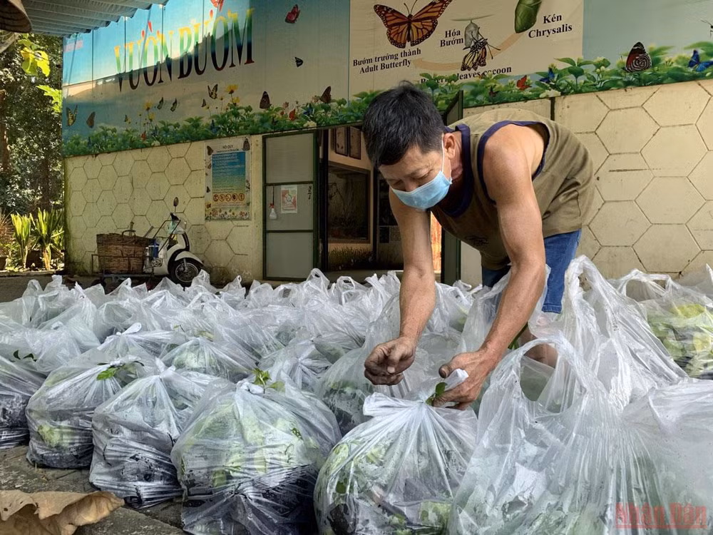 Thảo Cầm Viên Sài Gòn trước ngày mở cửa trở lại -0