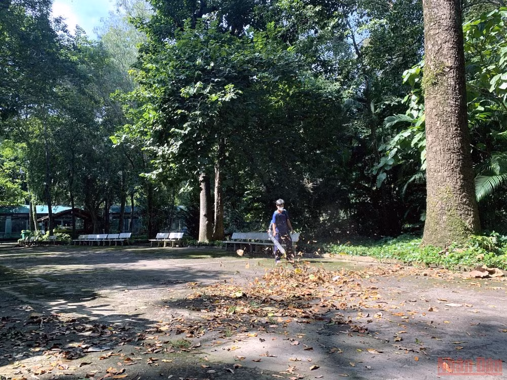 Thảo Cầm Viên Sài Gòn trước ngày mở cửa trở lại -0