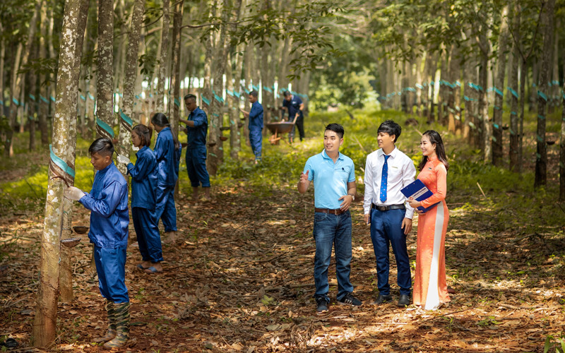Một số ngân hàng trong nước đã dành nguồn lực lớn khai thác mảng tín dụng nông nghiệp. Đầu tư nông nghiệp - mắt xích thúc đẩy phục hồi kinh tế -0