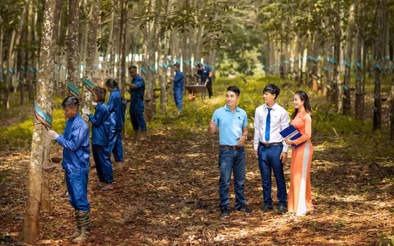 Đầu tư nông nghiệp - mắt xích thúc đẩy phục hồi kinh tế -0