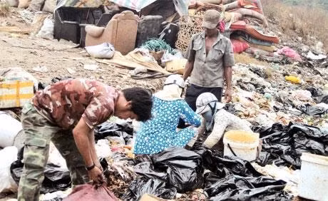 Bám rác mưu sinh.