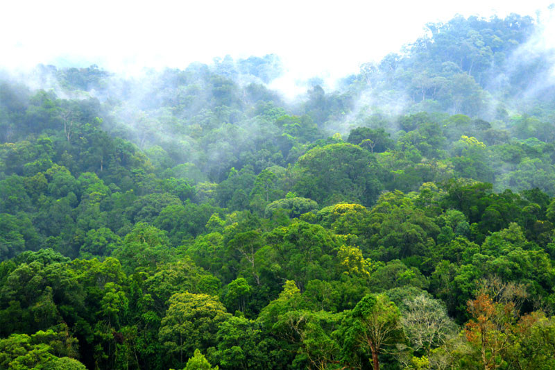 Khu dự trữ sinh quyển Cao nguyên Kon Hà Nừng. Hai khu dự trữ sinh quyển Việt Nam được UNESCO công nhận là Khu dự trữ sinh quyển thế giới -0