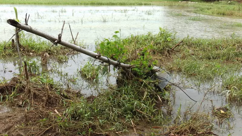 Hiện trường vụ điện giật.