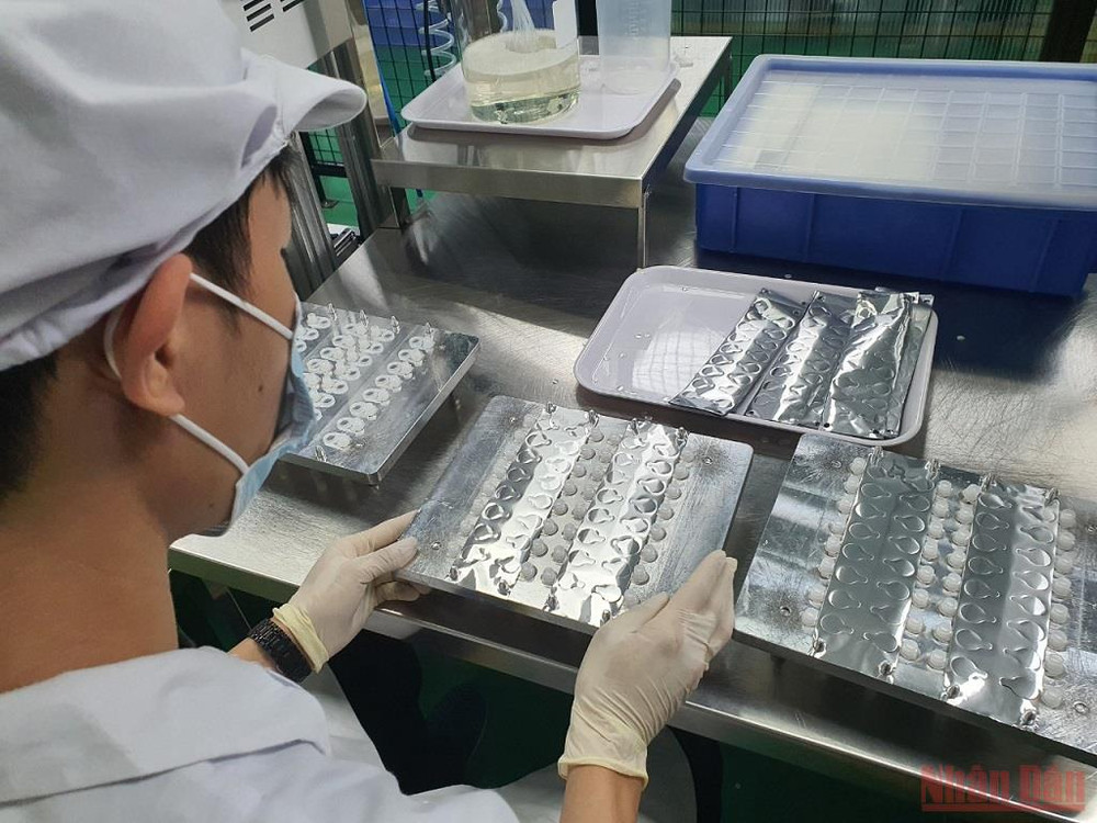Dịch chiết để xét nghiệm nhanh virus SARS-CoV-2 được đóng gói vào từng ống nhỏ, thuận tiện cho người dùng khi tự xét nghiệm. Ảnh chụp ngày 19/12. Cấp phép sử dụng khẩn cấp test nhanh kháng nguyên SARS-CoV-2 bằng dịch mũi “made in Vietnam” -0