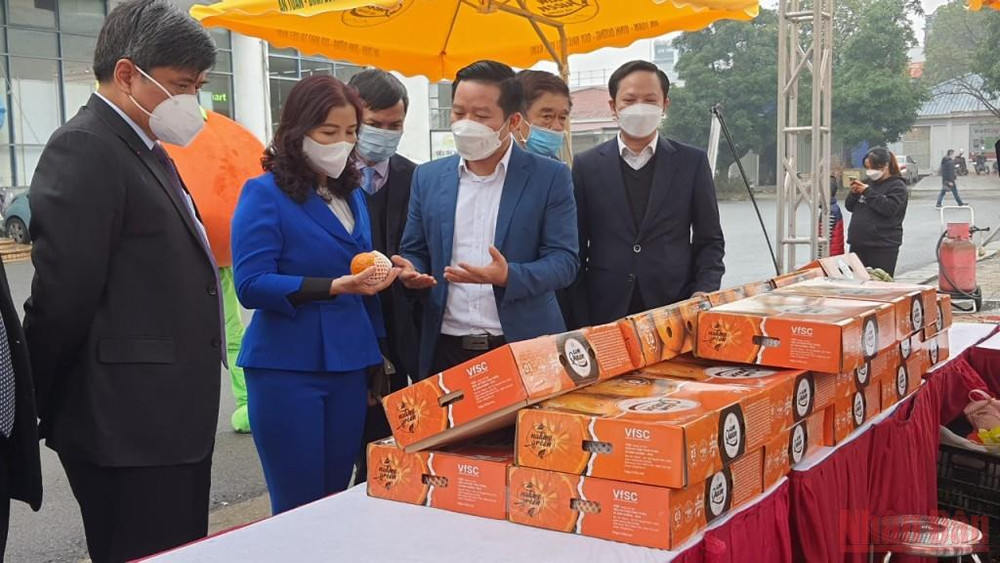 Các đại biểu tham quan gian hàng cam Hà Giang. (Ảnh: THANH TRÀ) Nhiều đặc sản vùng miền phục vụ người dân Thủ đô dịp Tết Nhâm Dần -0