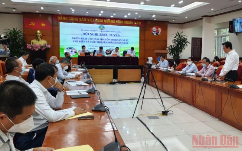Hội nghị trực tuyến triển khai các giải pháp ổn định sản xuất, chế biến và tiêu thụ sản phẩm chăn nuôi do Bộ Nông nghiệp và Phát triển nông thôn, chiều 25/10. Lợn tăng giá, người chăn nuôi vẫn chưa có lãi -0