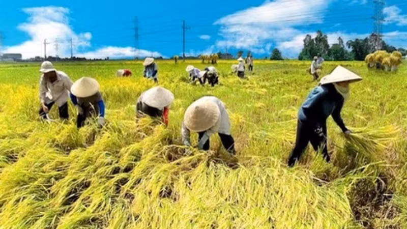 Đã đến lúc Bộ Nông nghiệp và Phát triển nông thôn phải bắt tay ngay vào chuyển đổi số trong lĩnh vực nông nghiệp. 