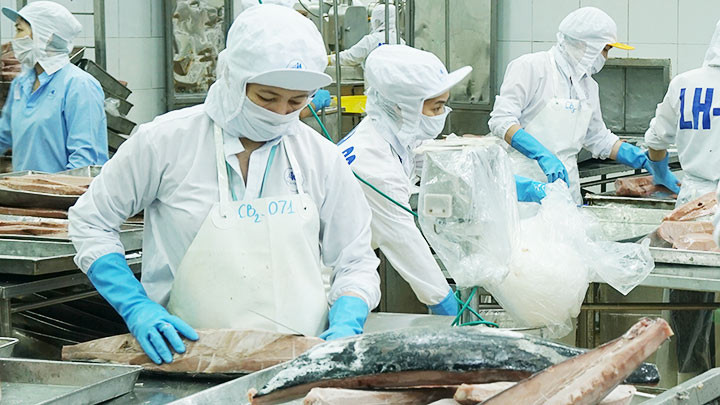 Cải cách thủ tục hành chính tạo điều kiện thuận lợi cho các doanh nghiệp thủy sản xuất khẩu hàng hóa. Ảnh: HẢI NAM